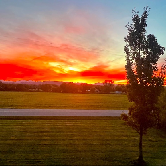 Meet your Posher, Megan - Picture 1 of 1